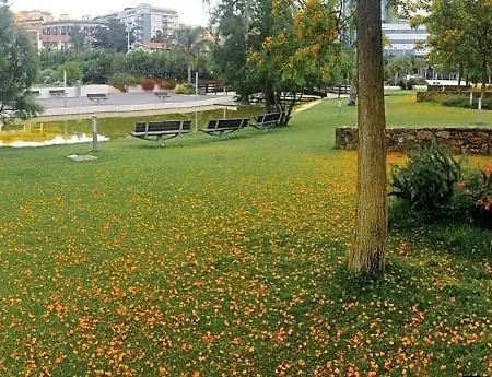 Superpanoramico